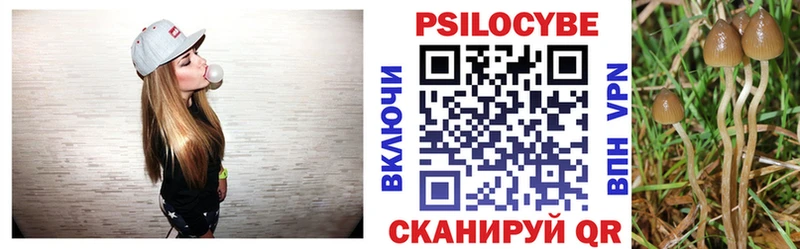 блэк спрут ссылка  Тимашёвск  Псилоцибиновые грибы Cubensis 